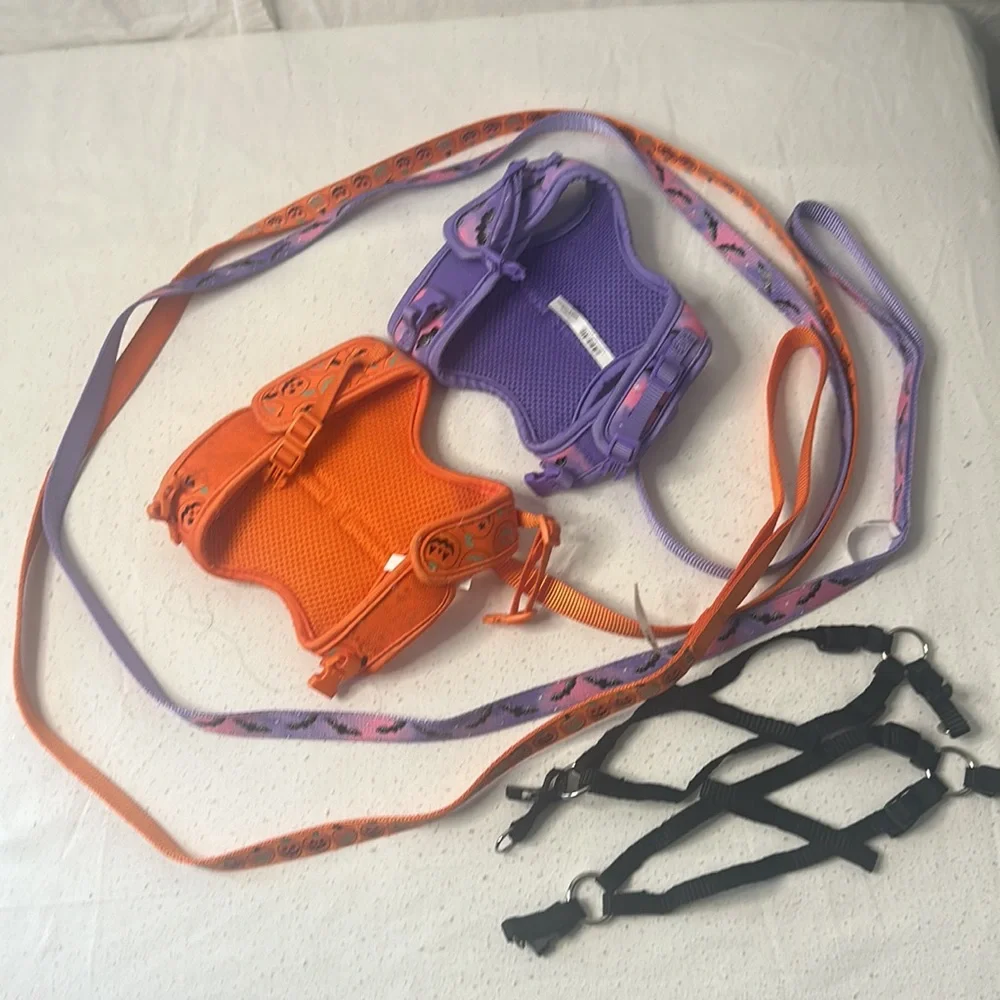 Two Halloween cat harnesses with walking strap